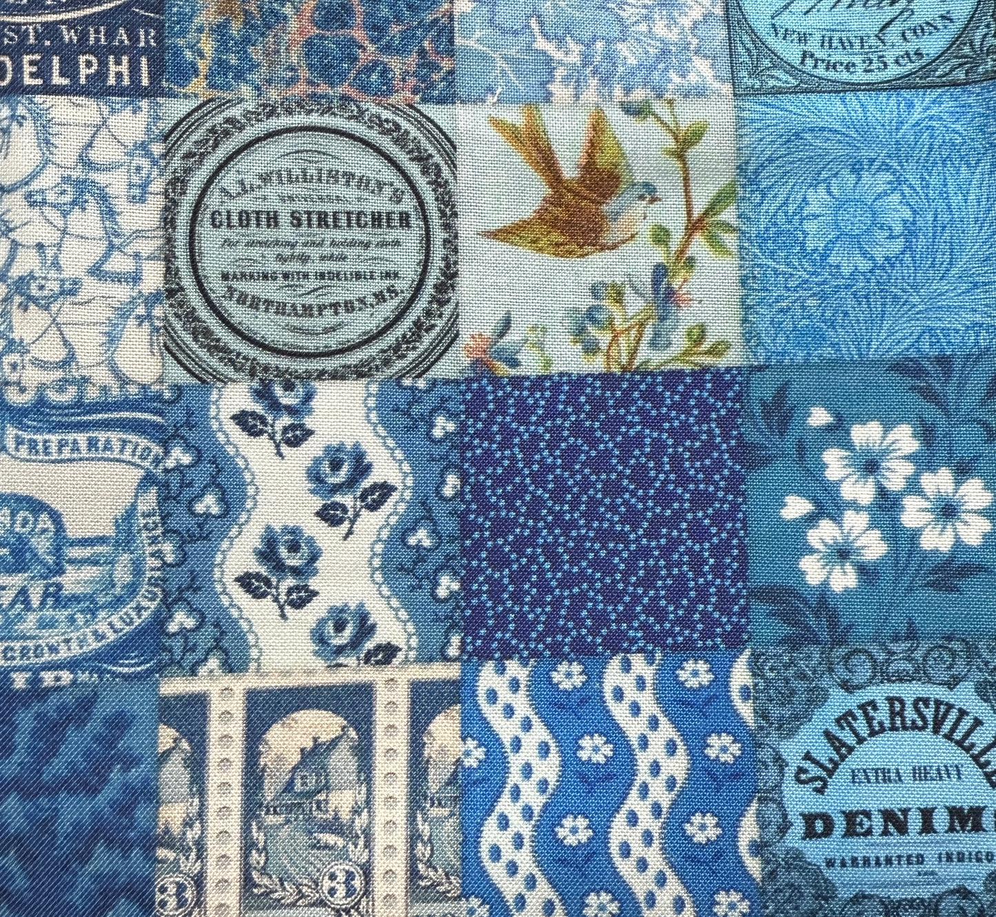 Cathe Holden Curated In Colour