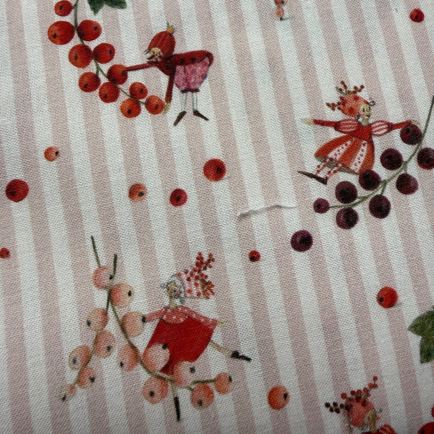 Acufactum Currant Dance