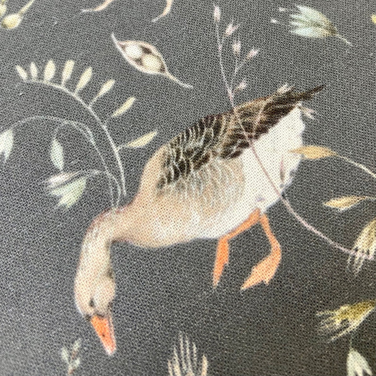 Acufactum Grey Mother Goose