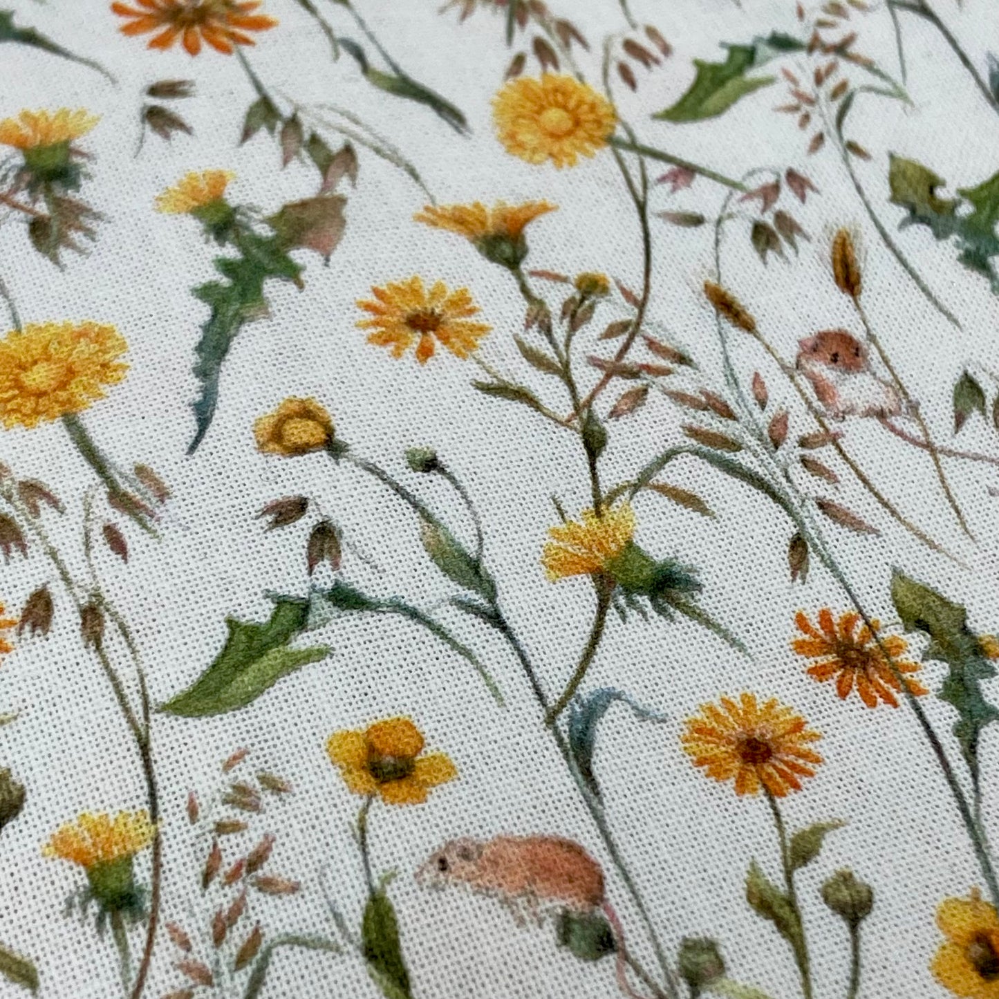 Acufactum Dandelions