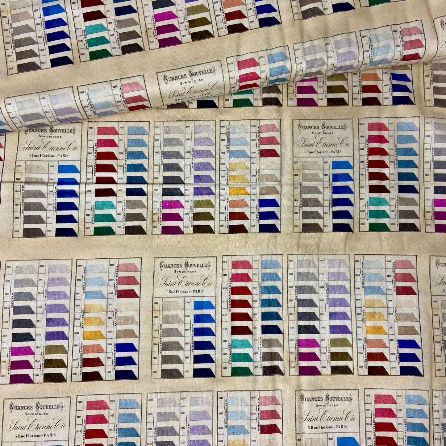 L'uccello St Etienne Claudette (ribbon sample/swatch) - DV5803