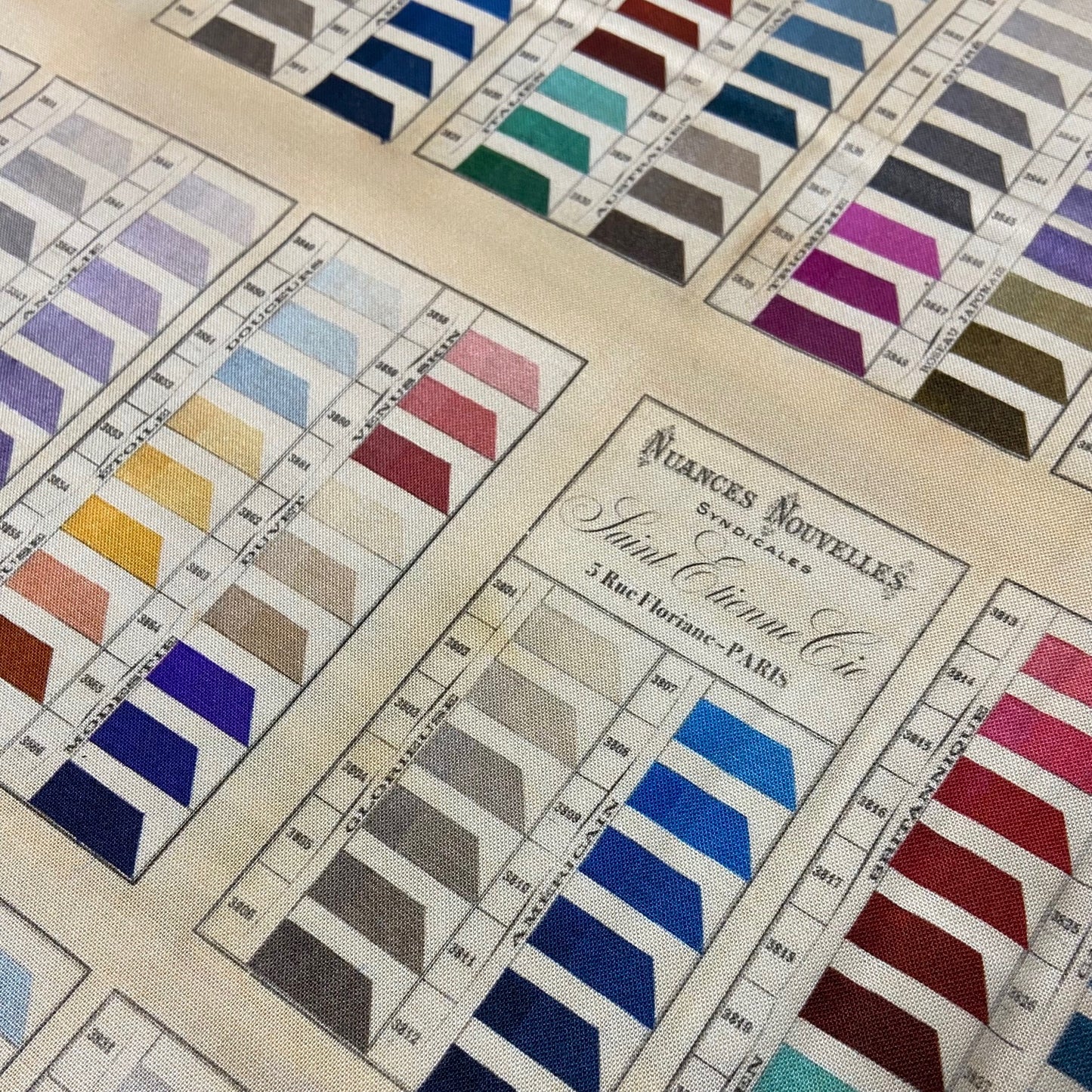 L'uccello St Etienne Claudette (ribbon sample/swatch) - DV5803