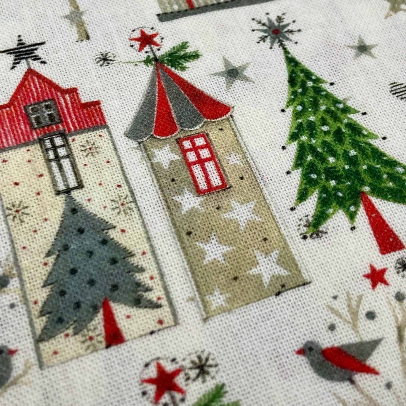 Acufactum Santa's Village