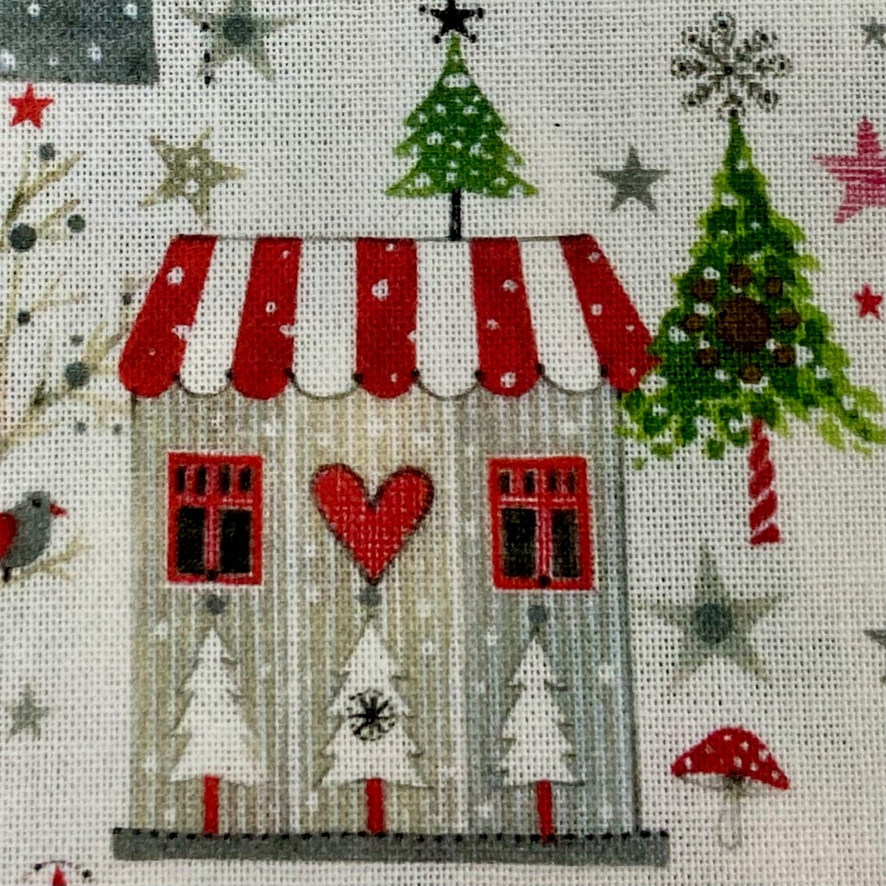 Acufactum Santa's Village