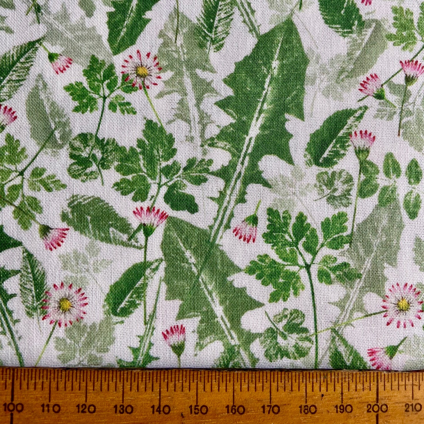 Acufactum Pink Daisies