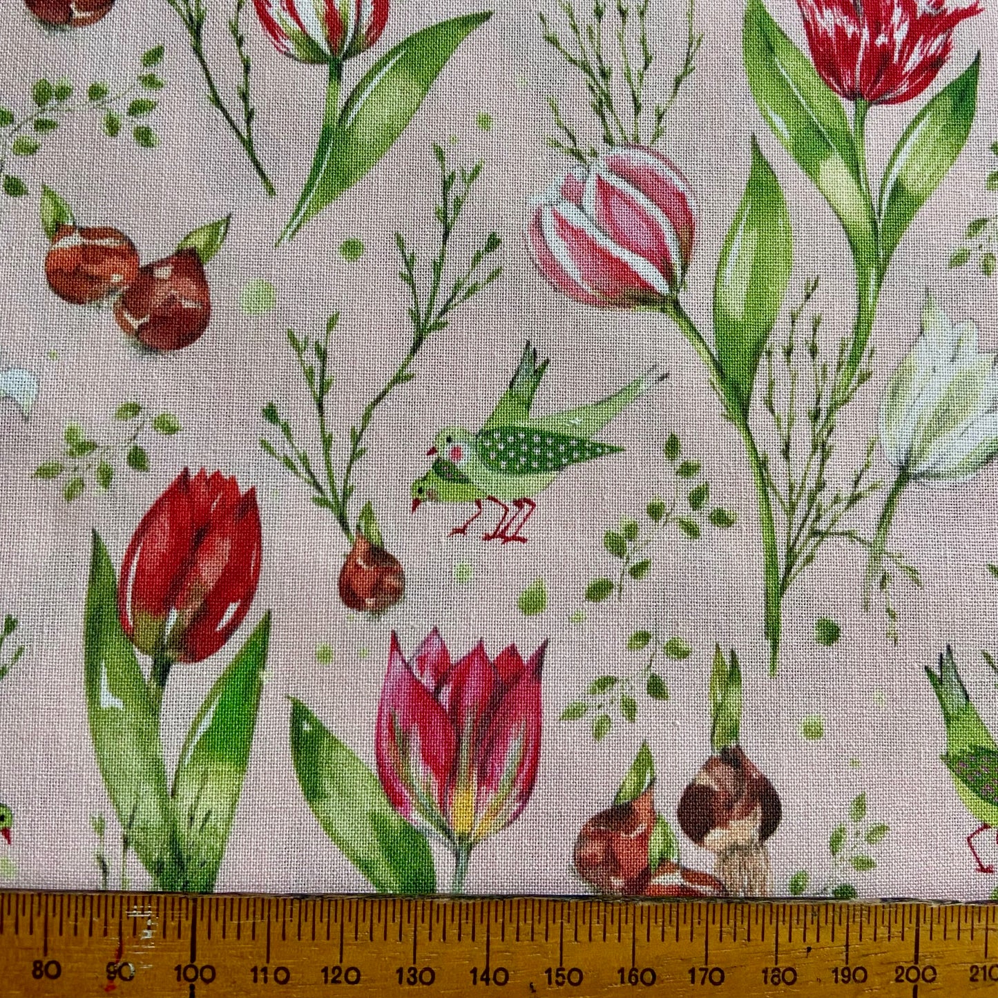 Acufactum Tulip Time