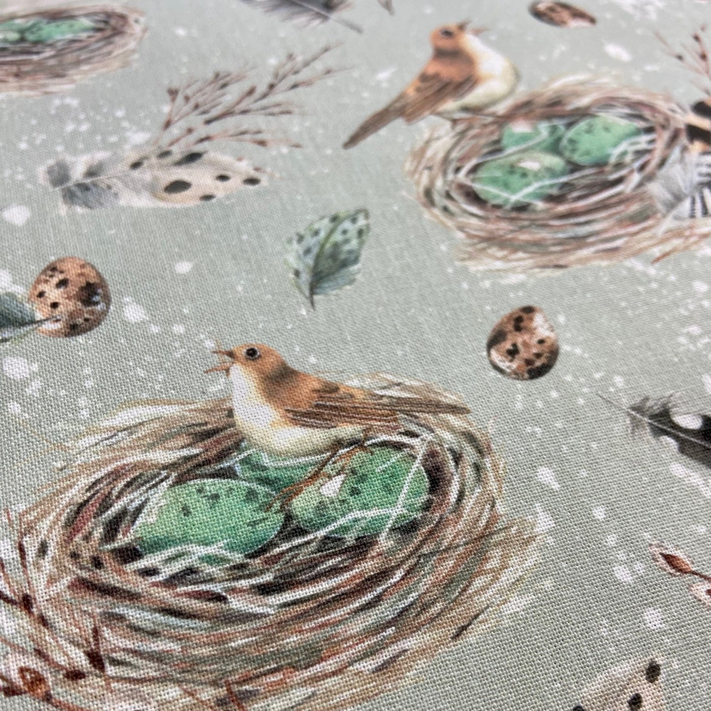 Acufactum Birds Nest
