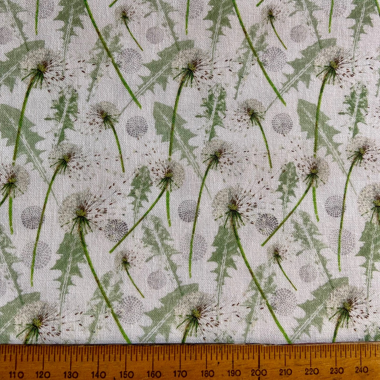Acufactum Bellis and Dandelions