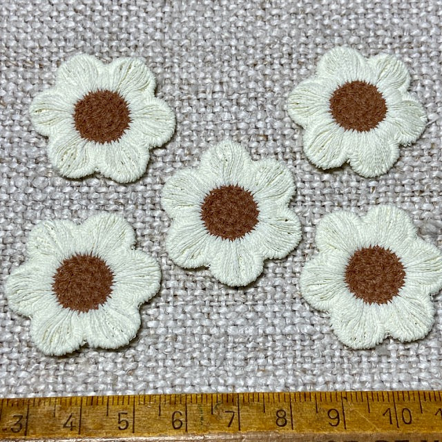 Flowers - Cream