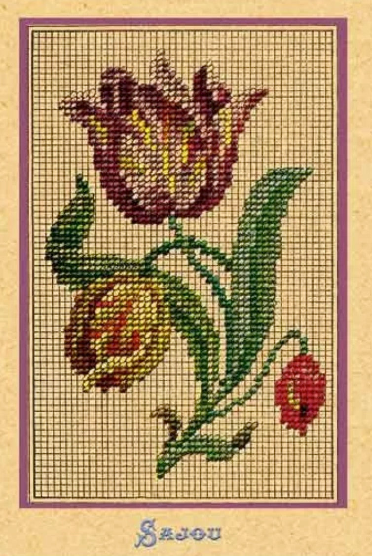 Sajou Folder with Six Cards - Tapestry Series 5