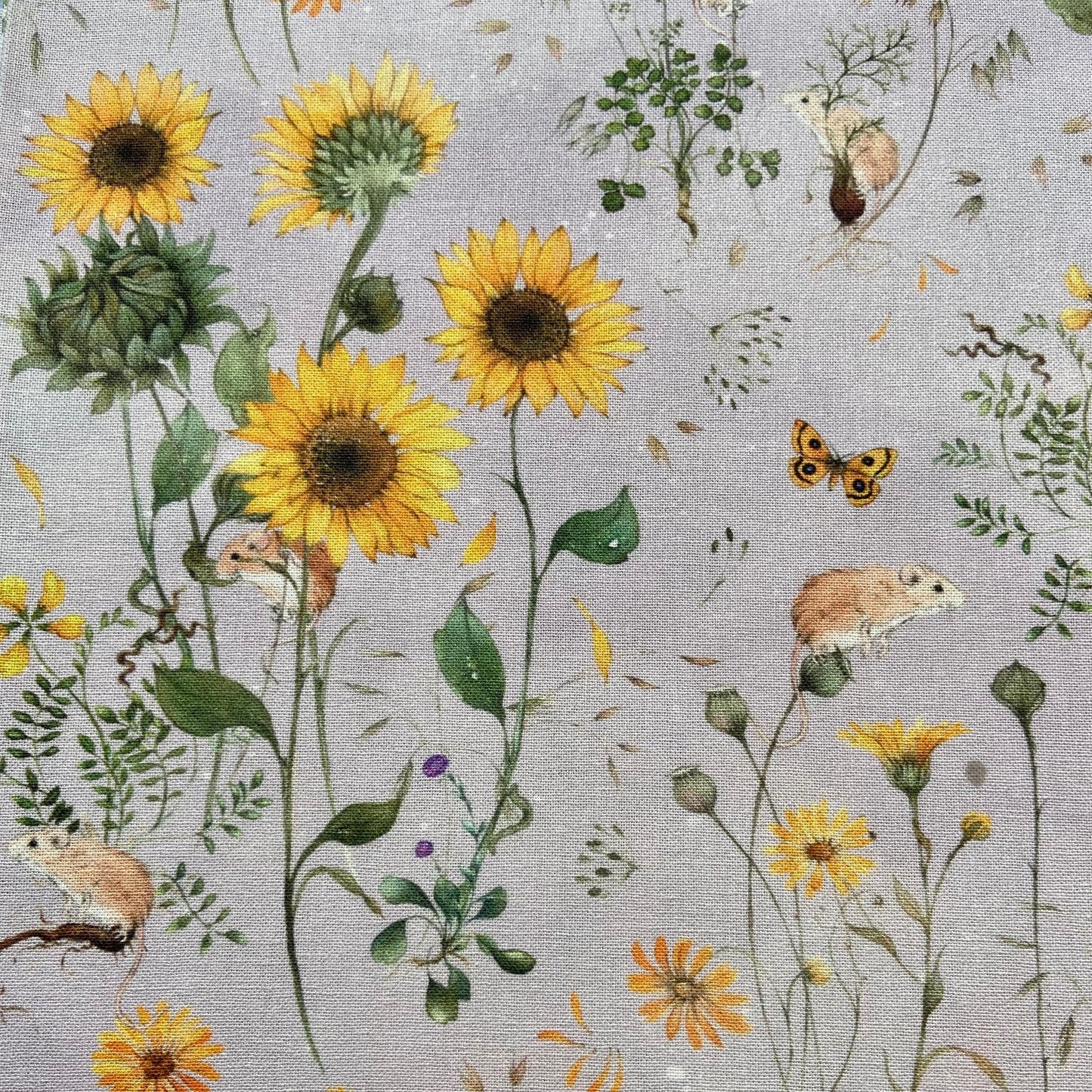 Acufactum Sunflowers