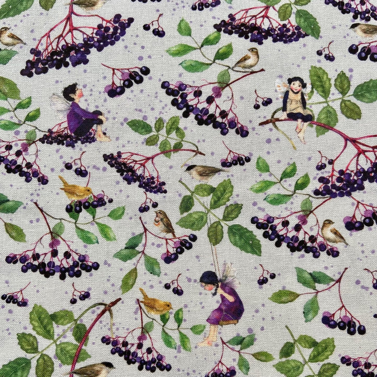 Acufactum Loganberries