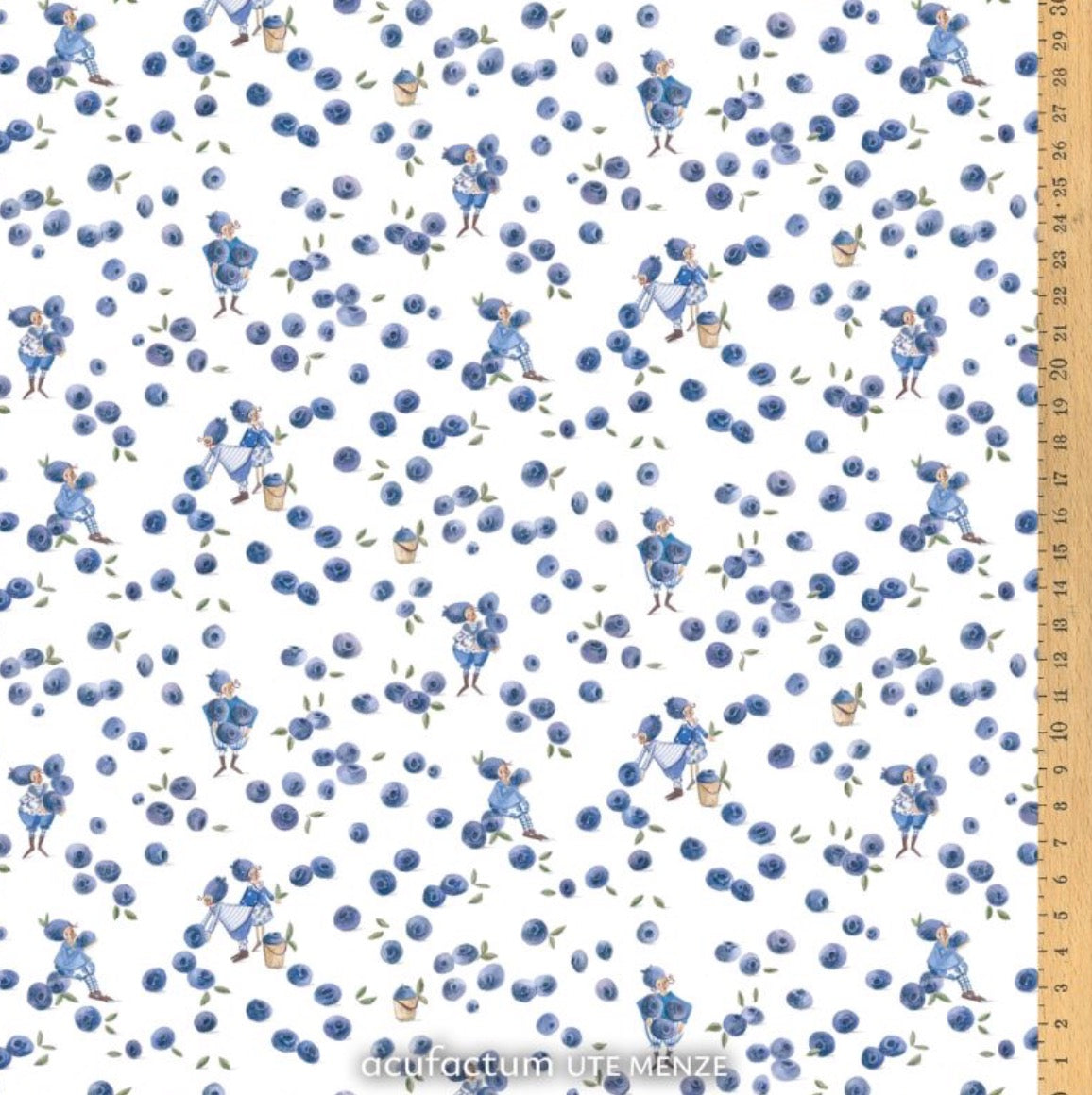 Acufactum Blueberry Gnomes