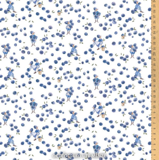 Acufactum Blueberry Gnomes