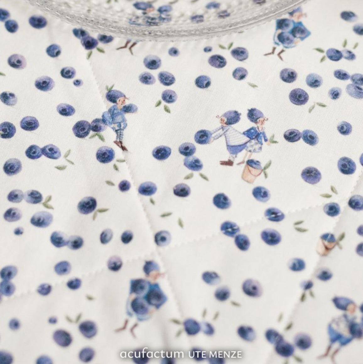 Acufactum Blueberry Gnomes