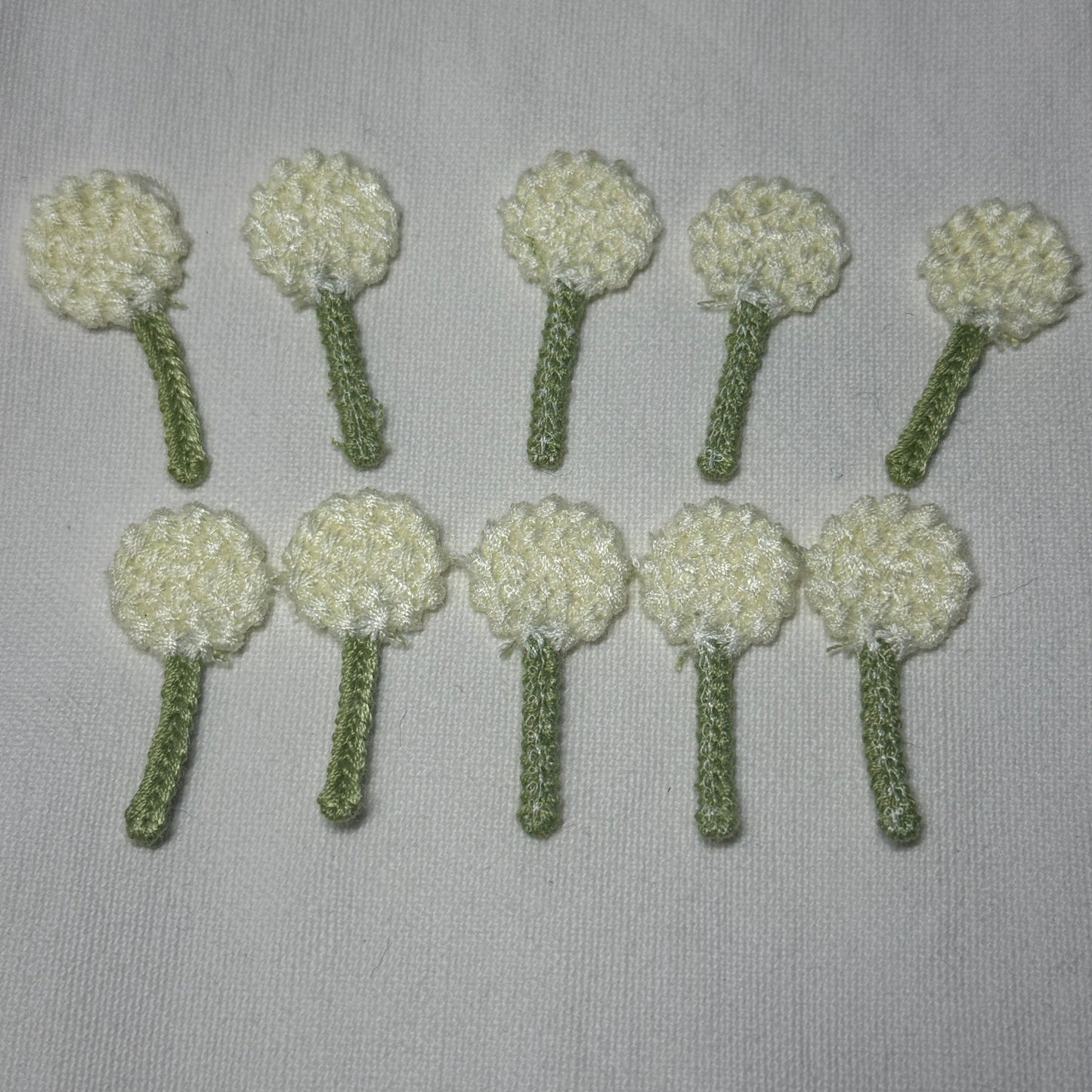Flowers - Dandelions