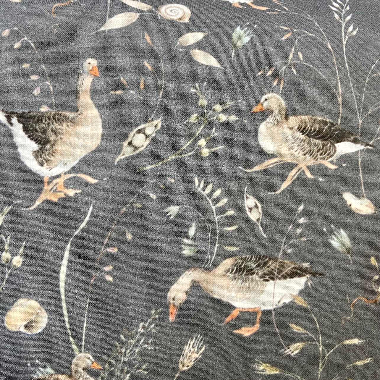 Acufactum Grey Mother Goose