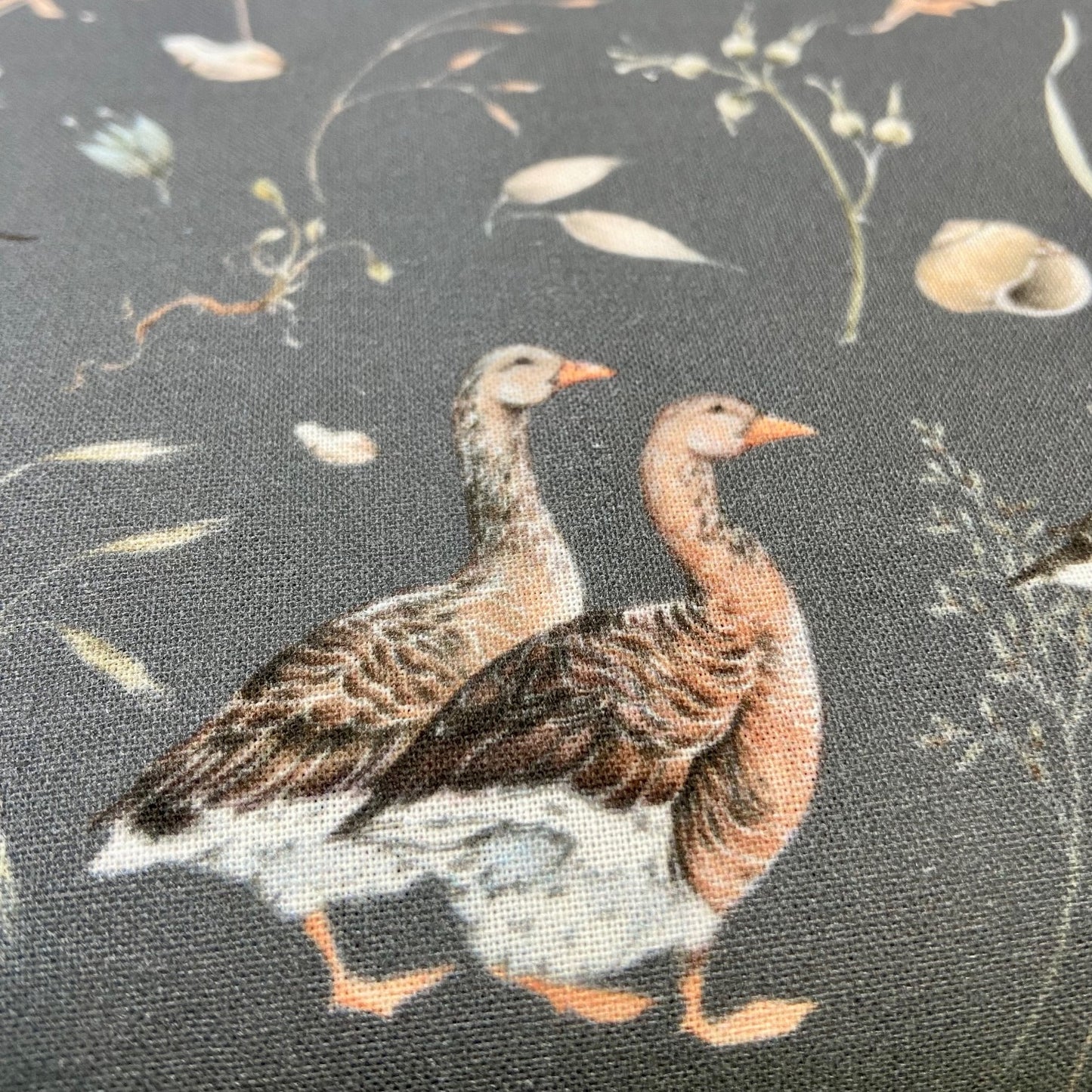 Acufactum Grey Mother Goose