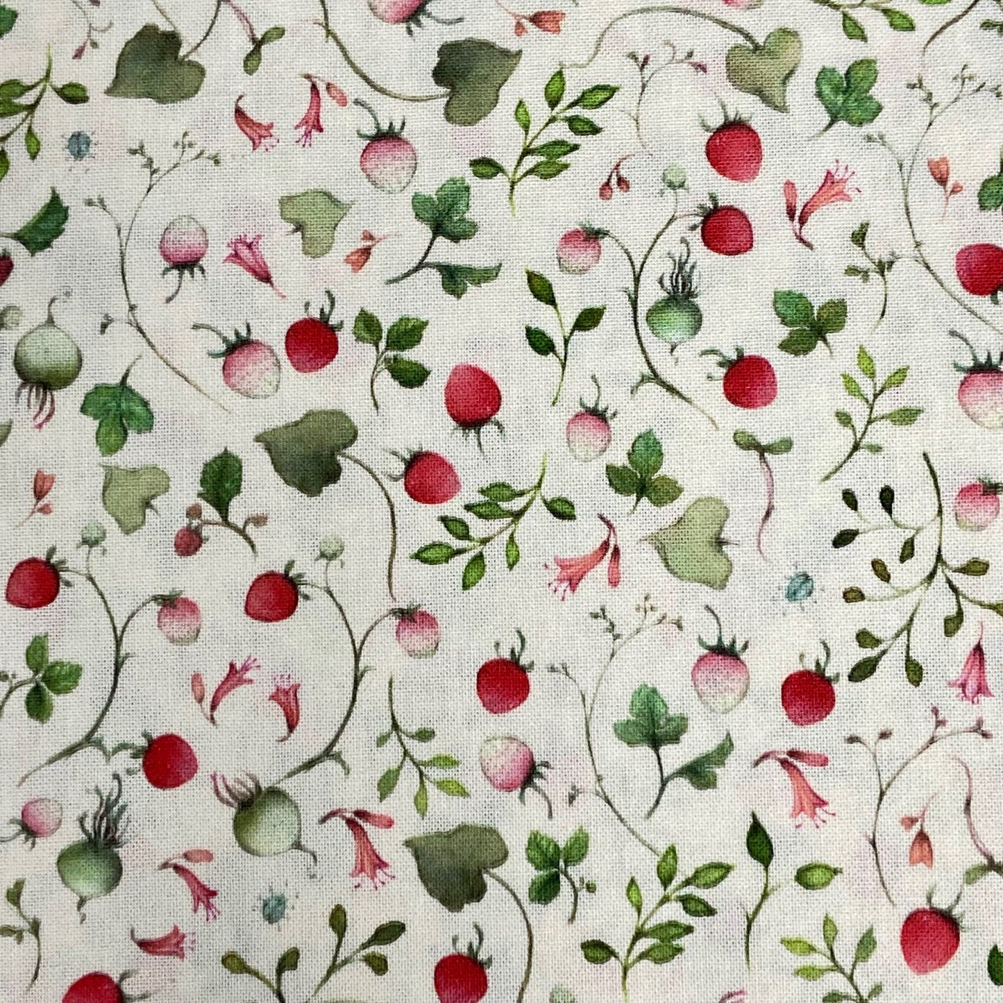 Acufactum Strawberry Patch