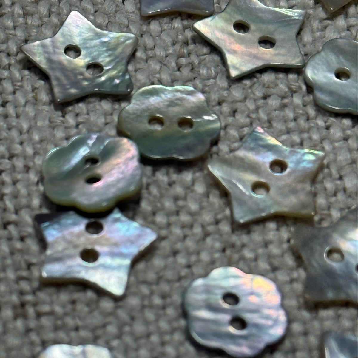 Shell Buttons Mixed Shapes