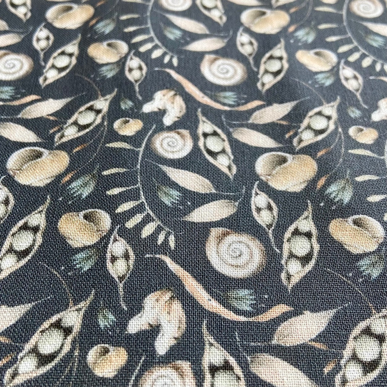 Acufactum Seeds and Stalks