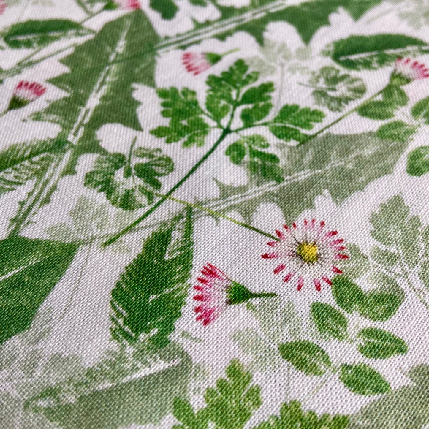 Acufactum Pink Daisies