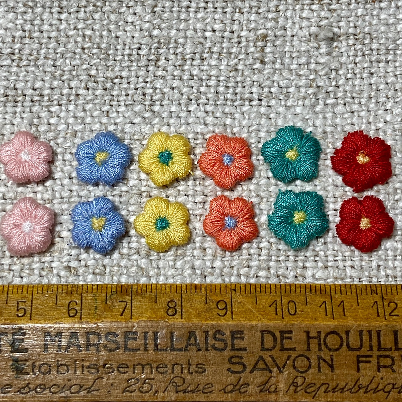 Multi Colour Blooms