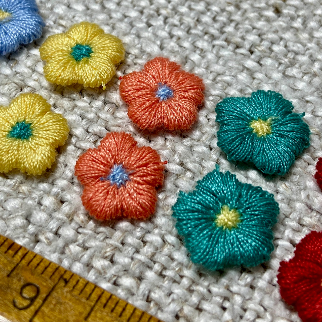 Multi Colour Blooms