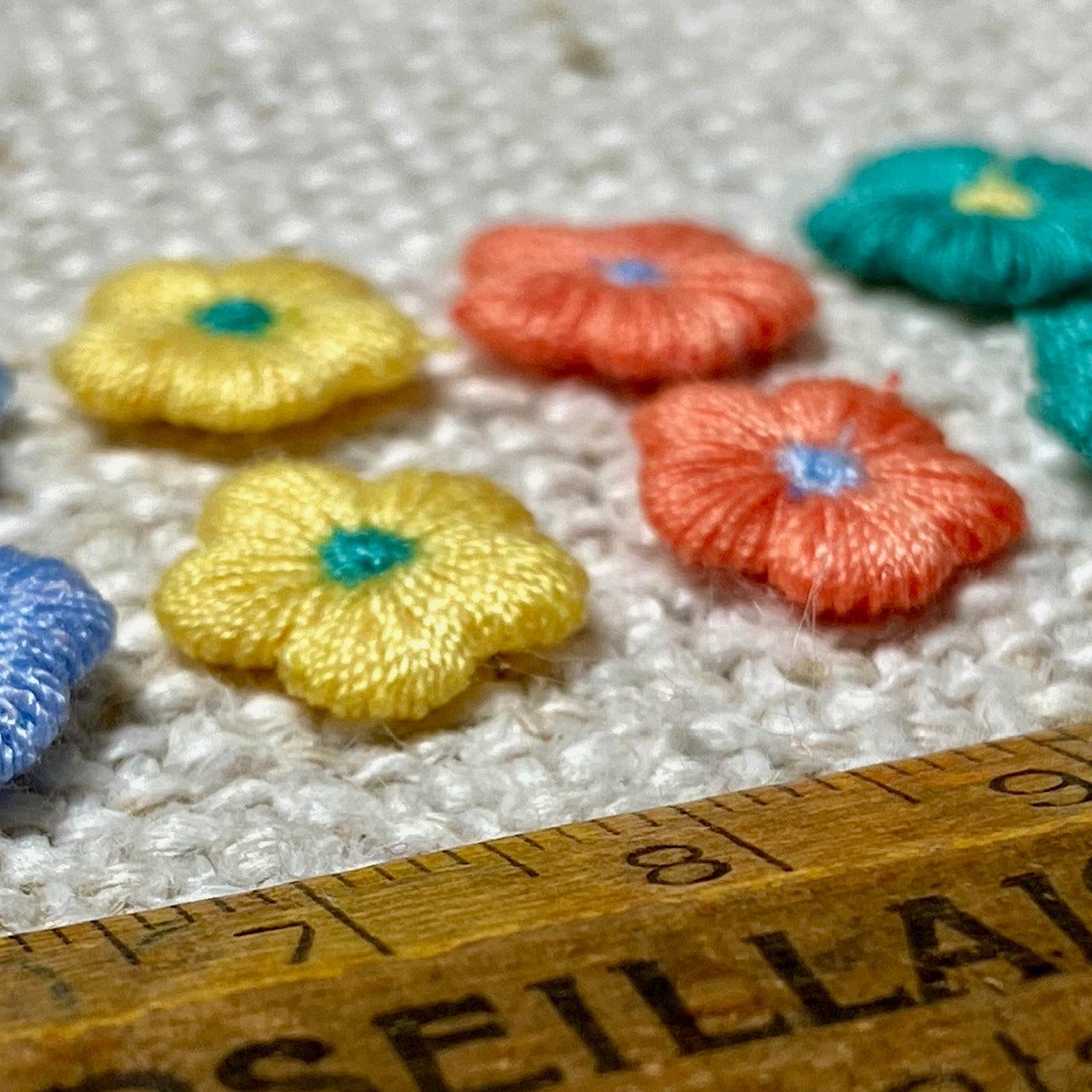 Multi Colour Blooms
