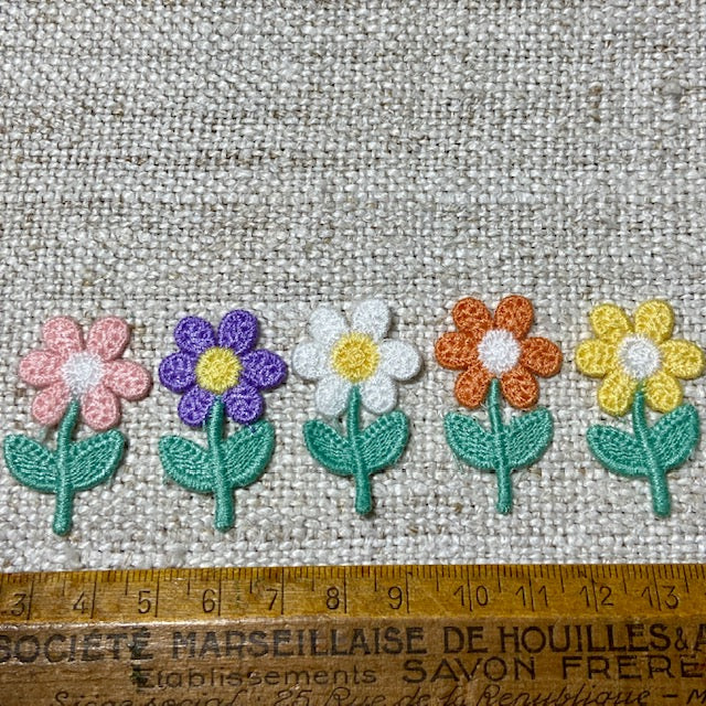 Daisies