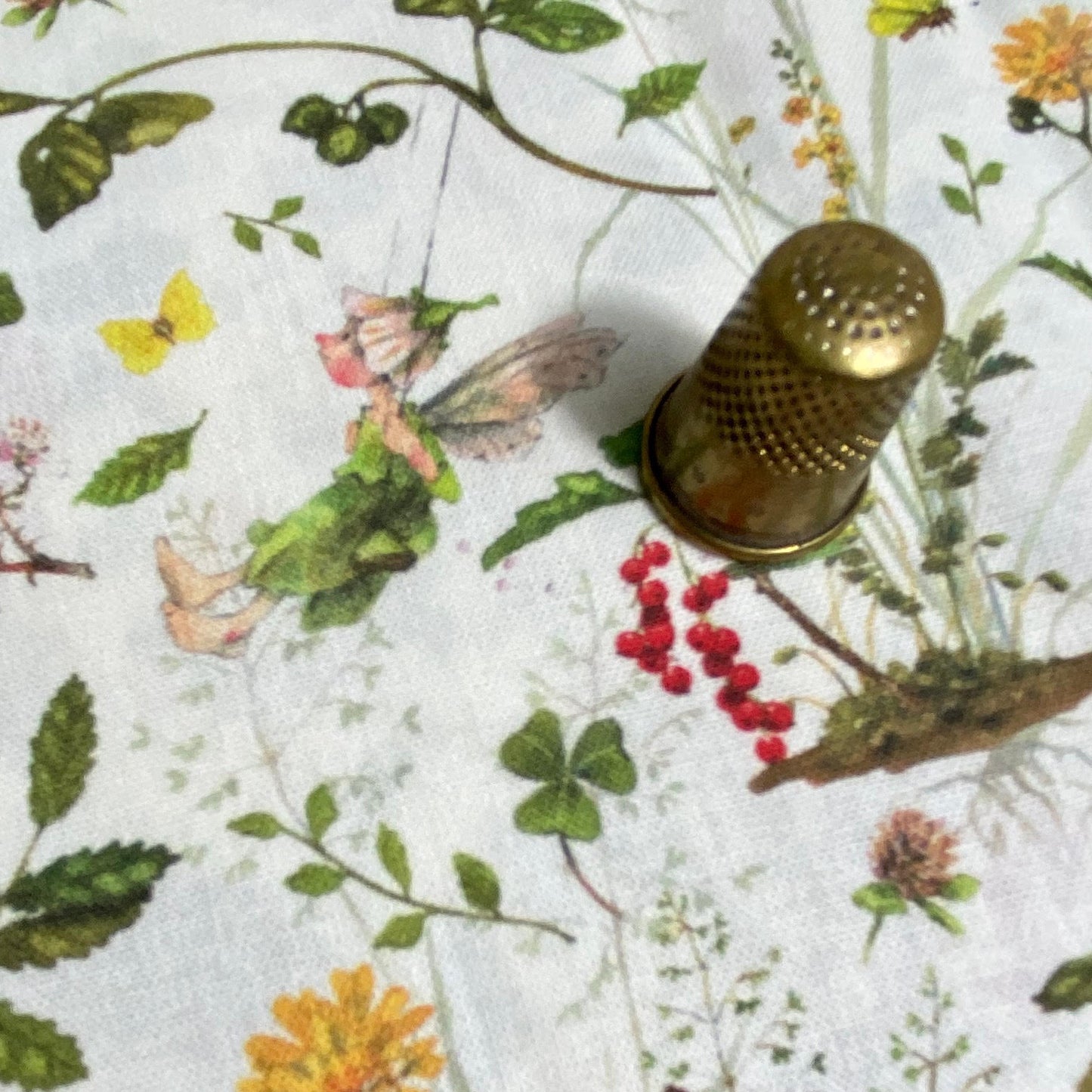 Acufactum Summer Field Fairies