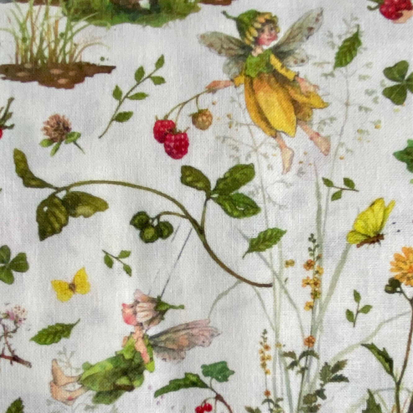 Acufactum Summer Field Fairies