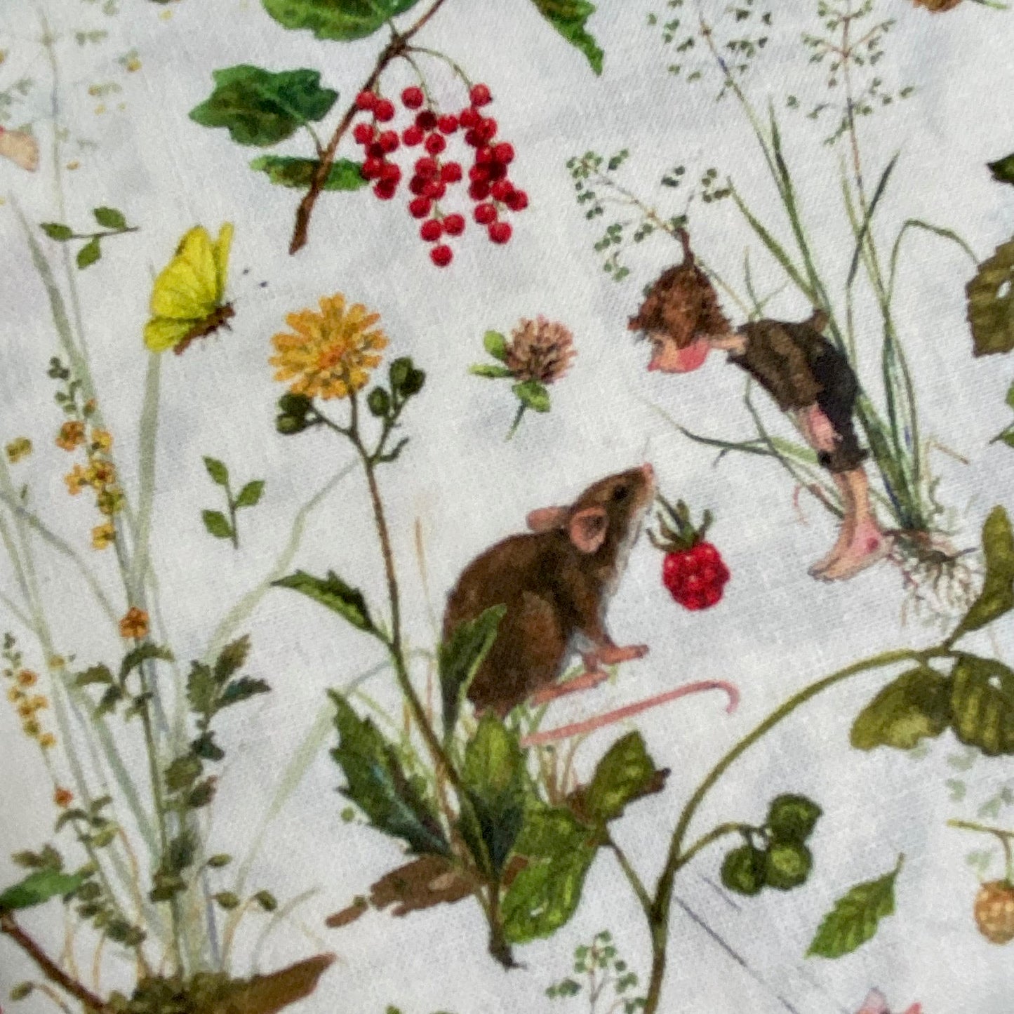 Acufactum Summer Field Fairies