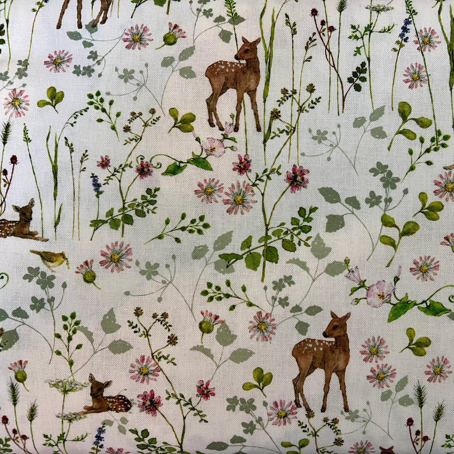 Deer and Daisy