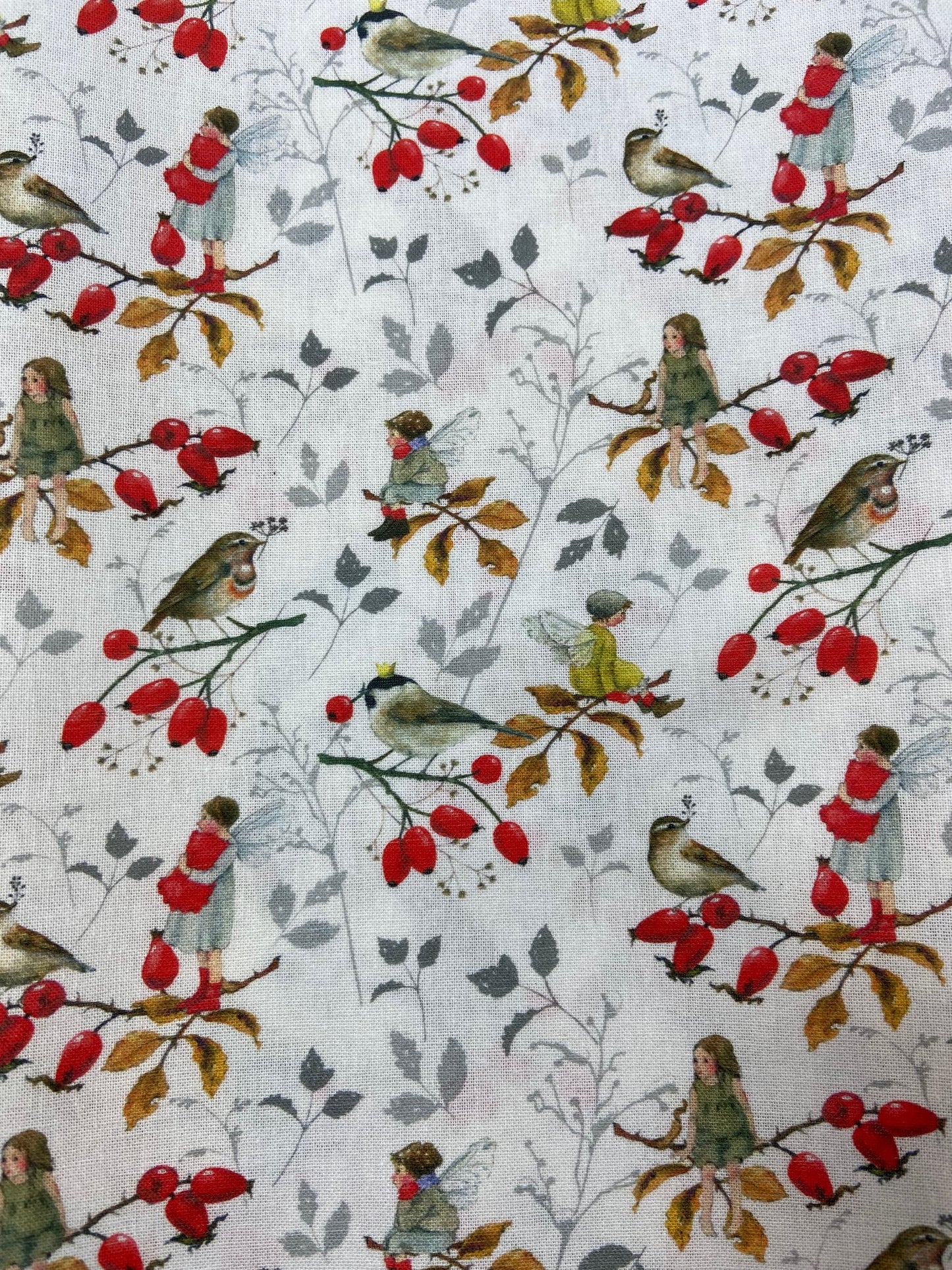 Rosehips and Robins