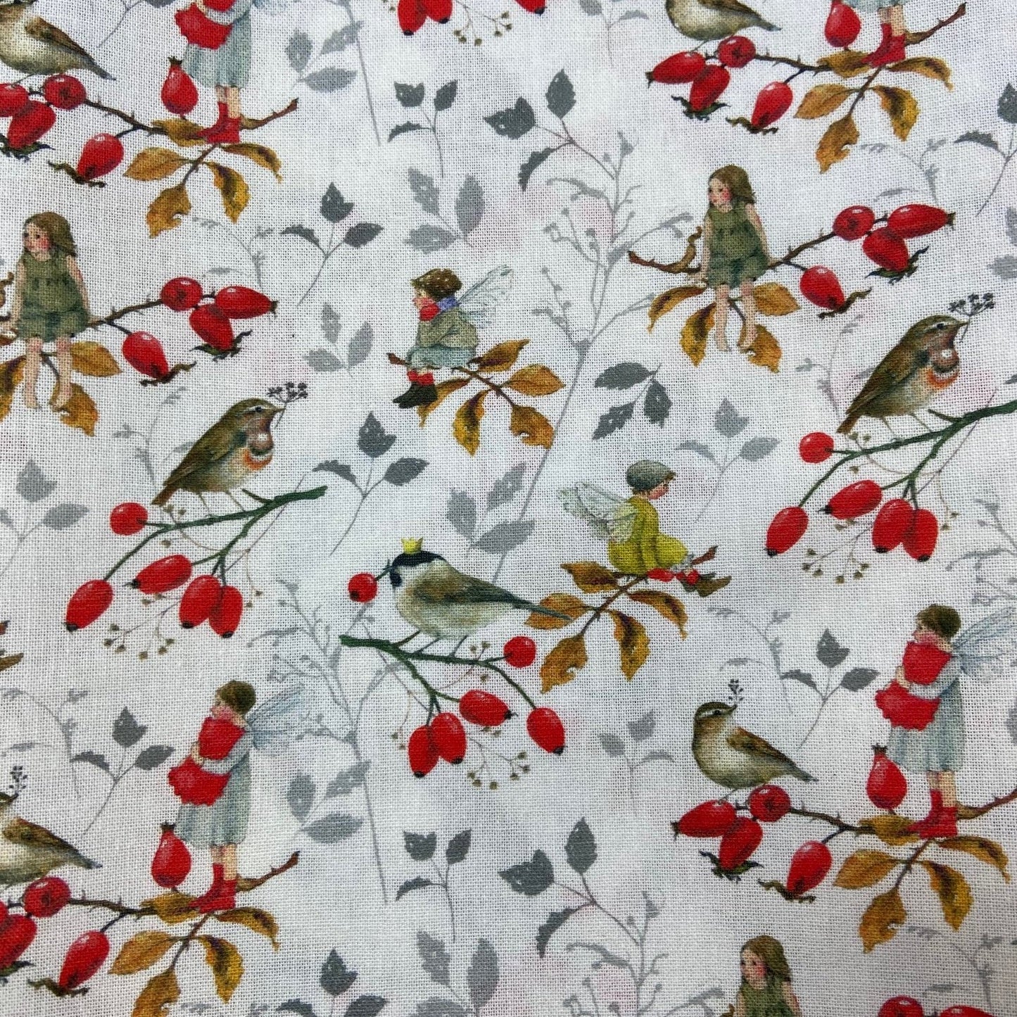 Acufactum Rosehips and Robins
