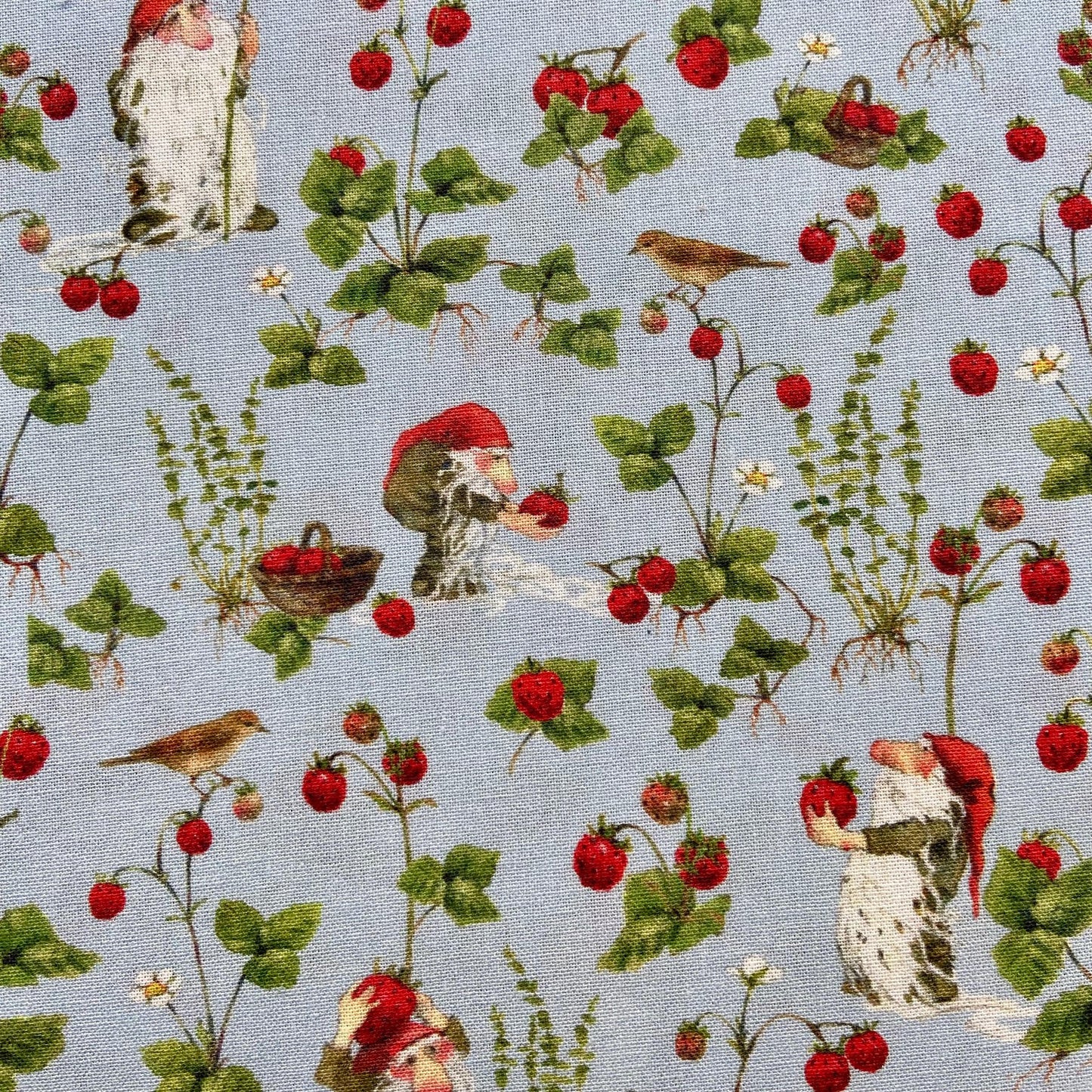Acufactum Tomte in the Strawberry Patch