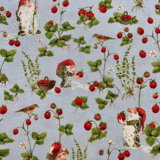 Acufactum Tomte in the Strawberry Patch