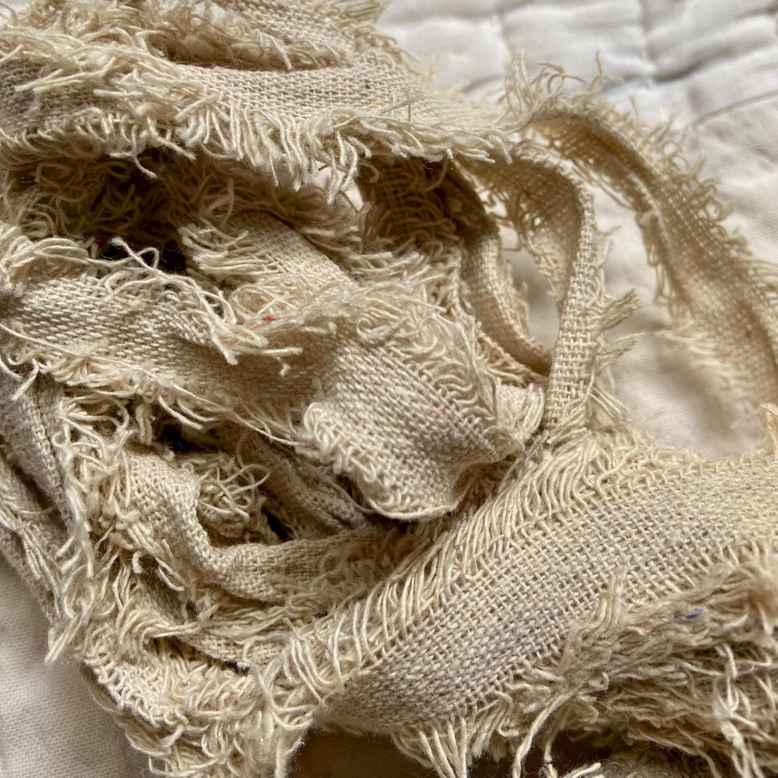 Cotton Bundles β Forage